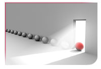 droits légaux et économie